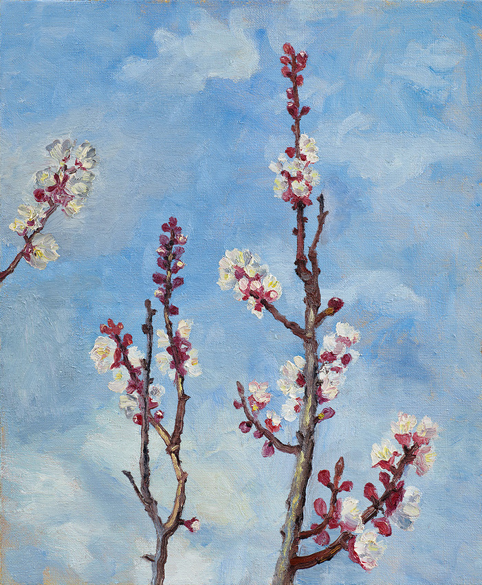  Hans_Rath_04_03_2011_46x38cm_Oel_Lwd_2011 