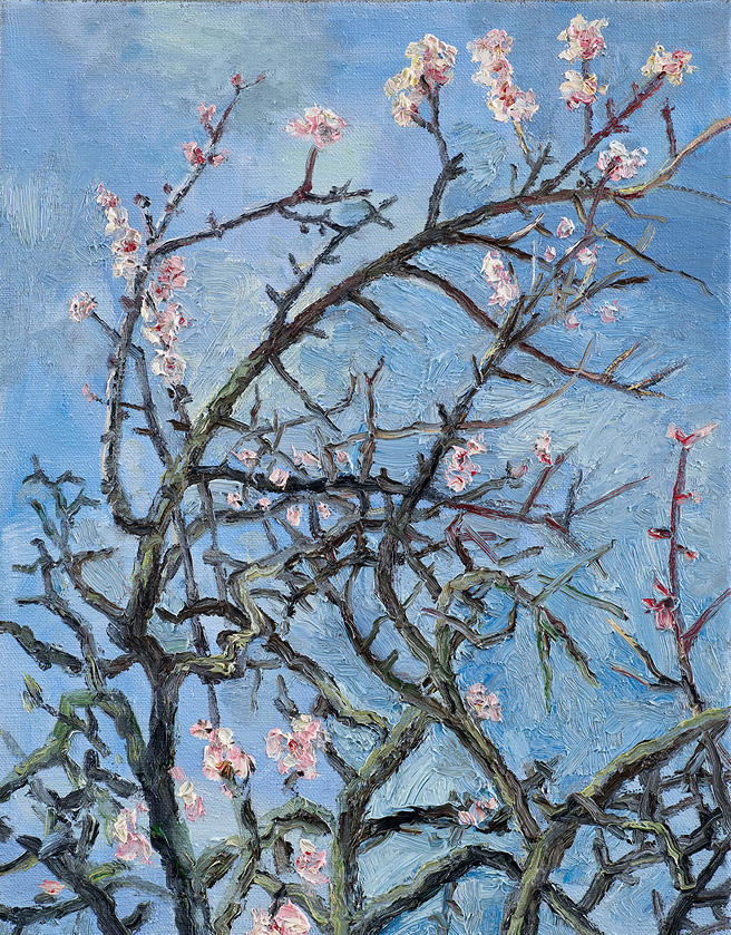  Hans_Rath_08_03_2015_45x35cm_Oel_Lwd_2015 