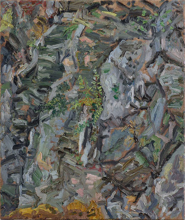  Hans_Rath_Felswand_I_55x46cm_Oel_Lwd_2016 
