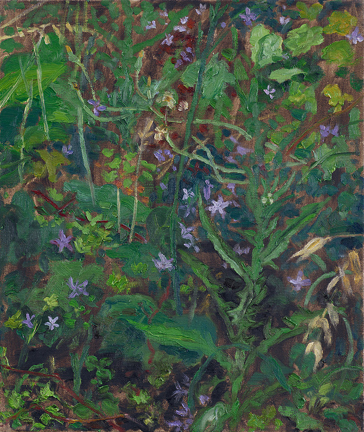  Hans_Rath_Grosses_Wiesenstueck_55x46cm_Oel_Lwd_2007 