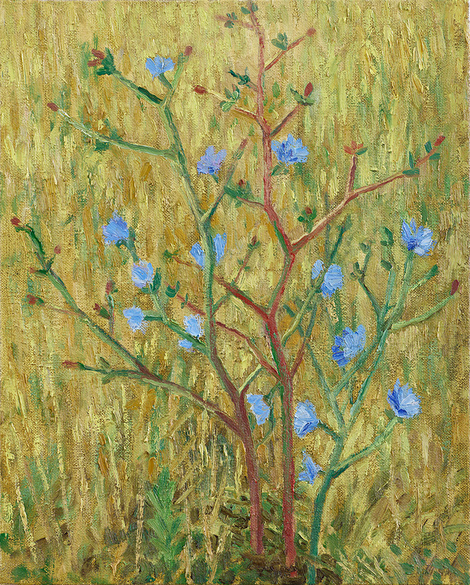  Hans_Rath_Wegwarte_II_41x33cm_Oel_Lwd_2011 