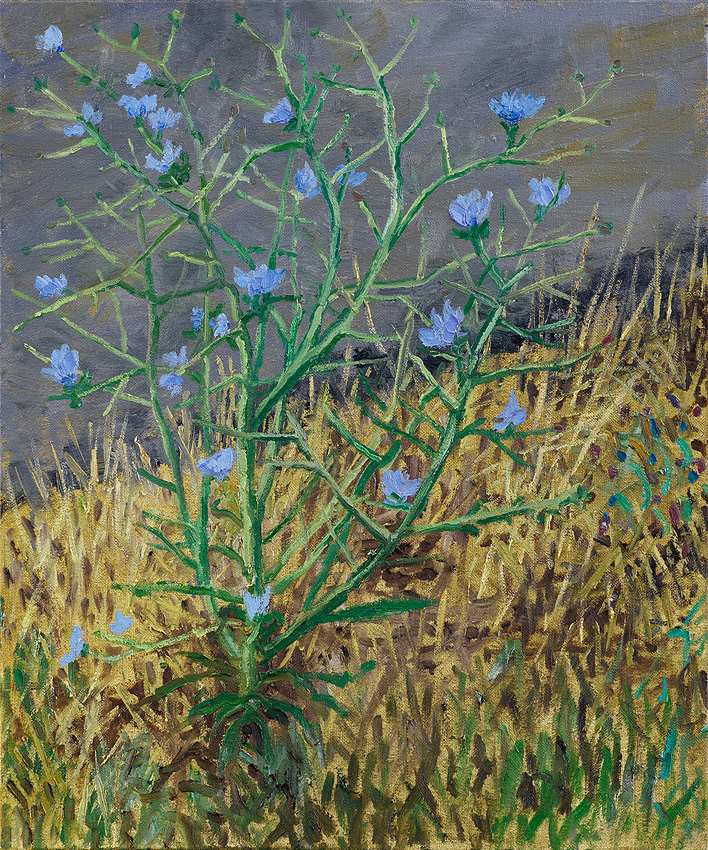  Hans_Rath_Wegwarte_55x46cm_Oel_Lwd_2011 