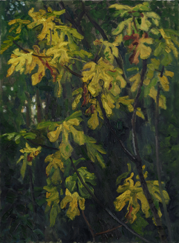  Hans_Rath_Feigenbaum_im_Herbst_81x60cm_Oel_Lwd_2002 